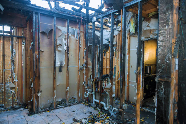 Professional Soot Cleanup technician working in Arab, AL